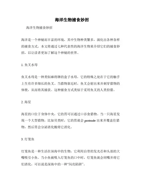 海洋生物捕食妙招