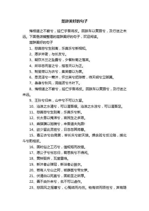 楚辞美好的句子