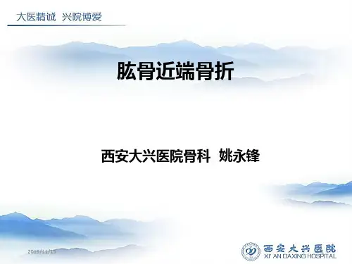 肱骨近端骨折PPT课件