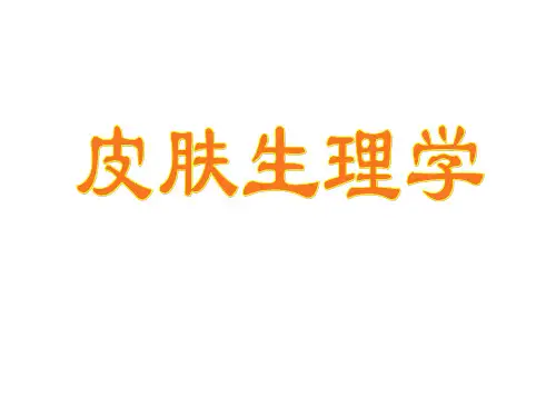 皮肤生理学ppt课件