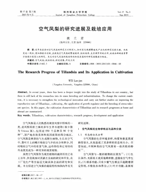 空气凤梨的研究进展及栽培应用
