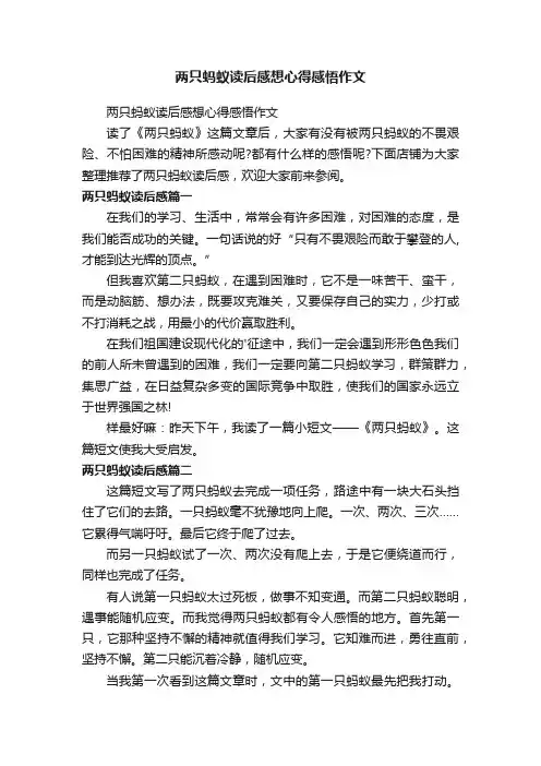 两只蚂蚁读后感想心得感悟作文