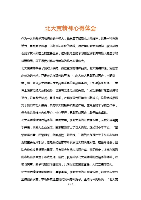 北大荒精神心得体会