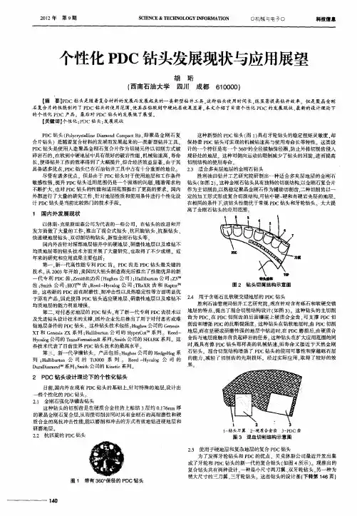 个性化PDC钻头发展现状与应用展望