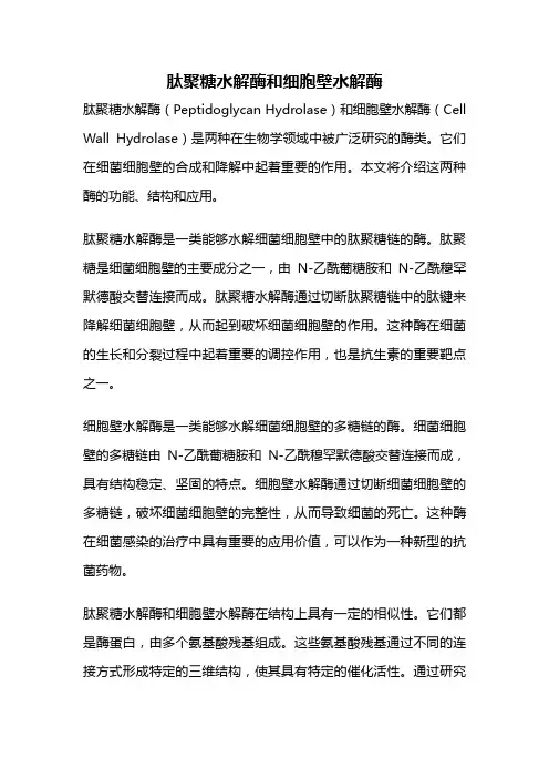 肽聚糖水解酶和细胞壁水解酶