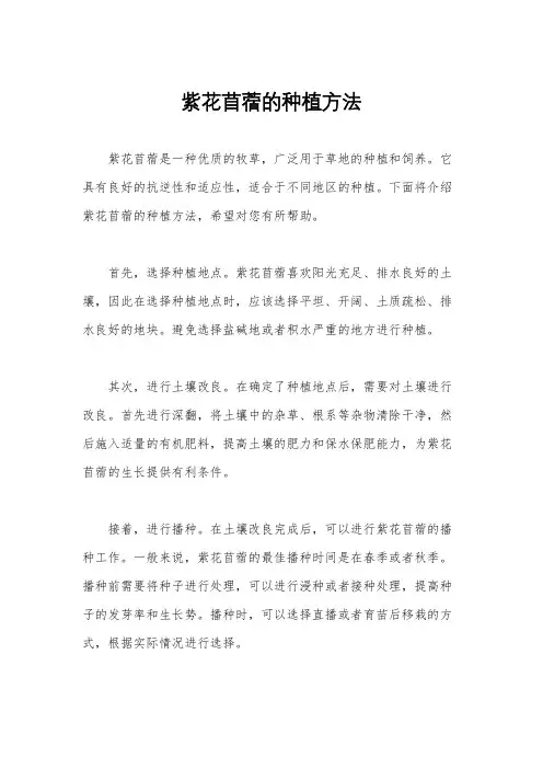 紫花苜蓿的种植方法