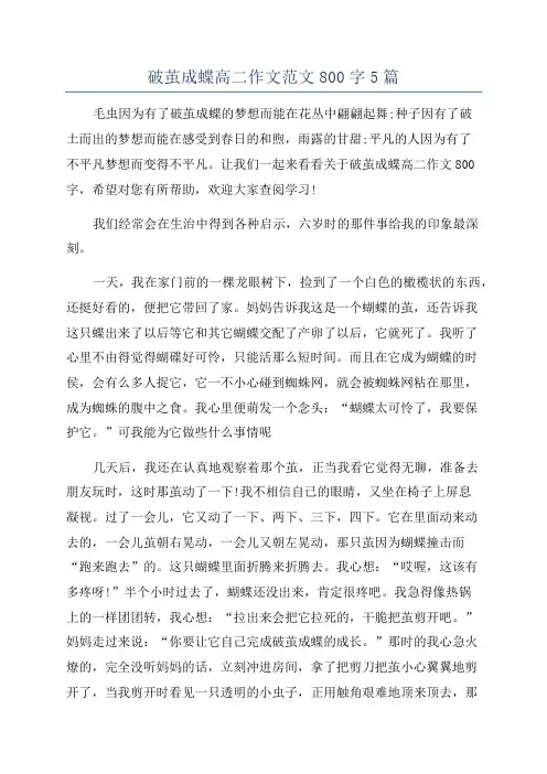 破茧成蝶高二作文范文800字5篇