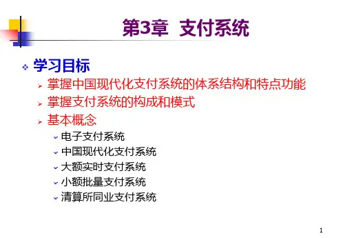 中国现代化支付系统的体系结构和特点功能PPT课件