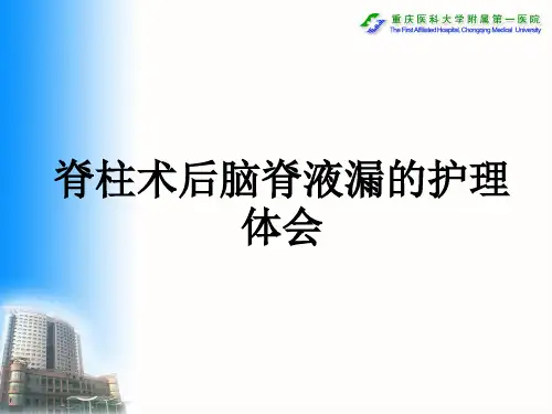 脊柱术后脑脊液漏的护理体会
