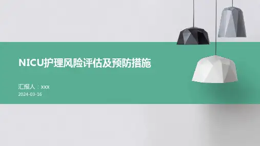 NICU护理风险评估及预防措施PPT课件