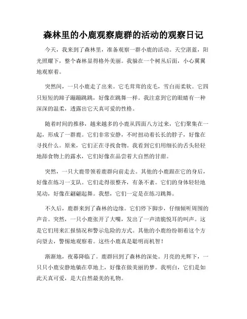 小学三年级作文森林里的小鹿观察鹿群的活动的观察日记