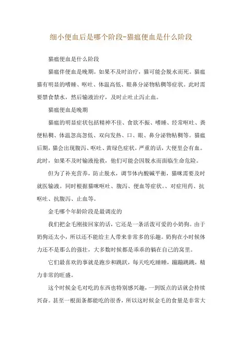 细小便血后是哪个阶段-猫瘟便血是什么阶段