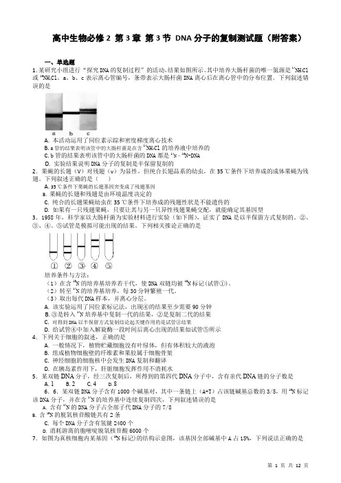 高中生物DNA分子的复制测试题(附答案)