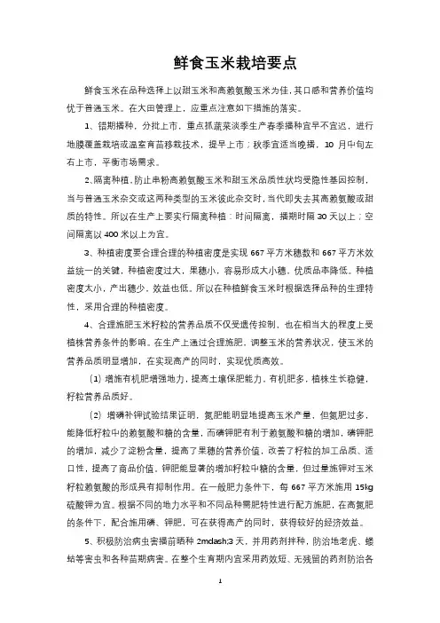 鲜食玉米栽培要点