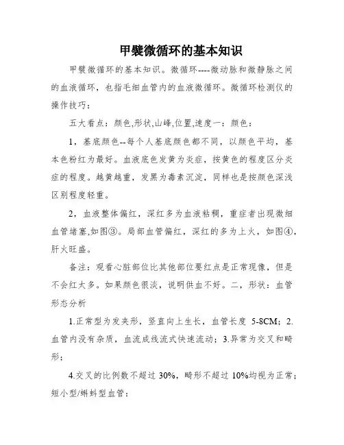 甲襞微循环的基本知识