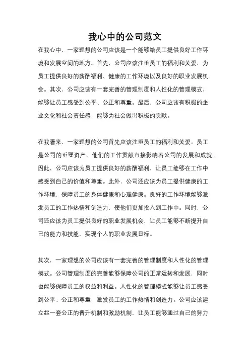 我心中的公司范文