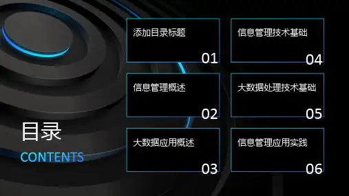 信息管理与大数据应用课件