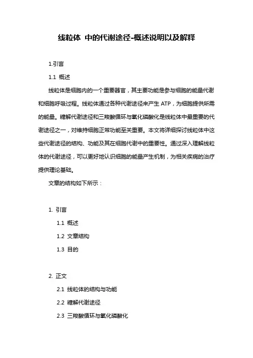 线粒体 中的代谢途径-概述说明以及解释