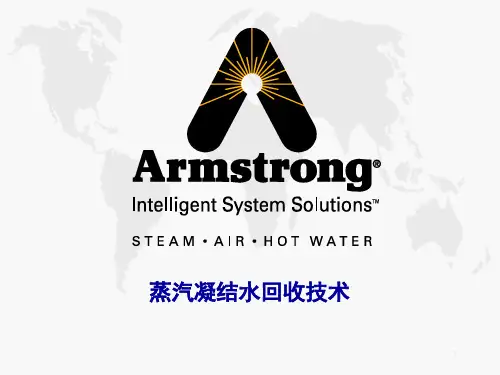 凝结水泵PPT课件