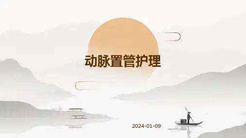 动脉置管护理