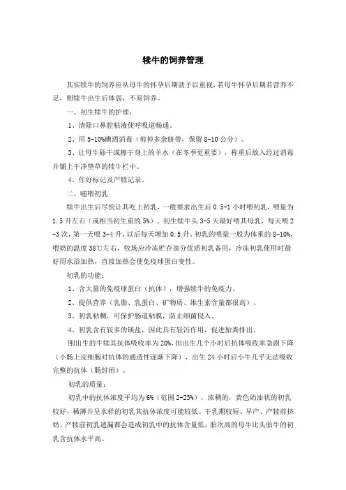犊牛饲养