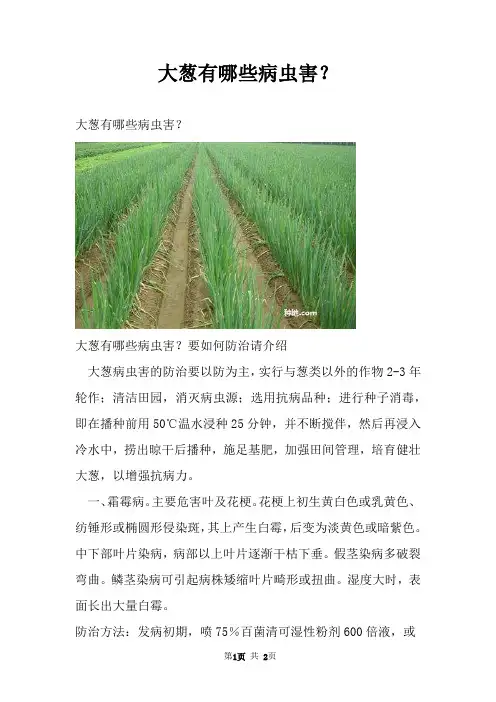 大葱有哪些病虫害？