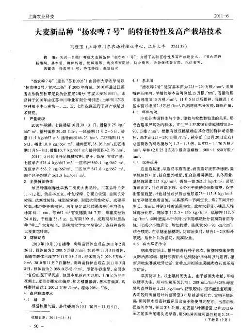 大麦新品种“扬农啤7号”的特征特性及高产栽培技术