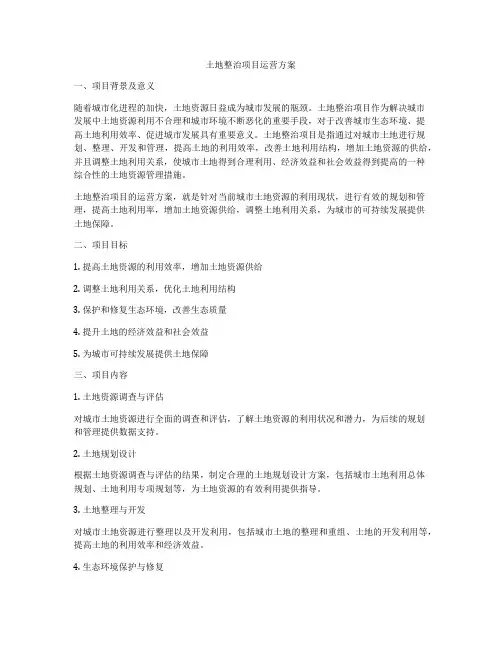 土地整治项目运营方案