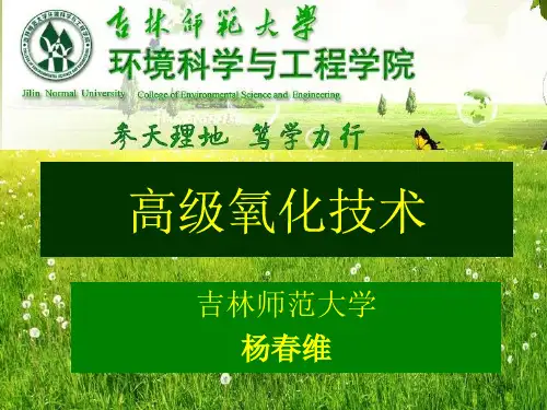 第5章 过硫酸盐活化技术