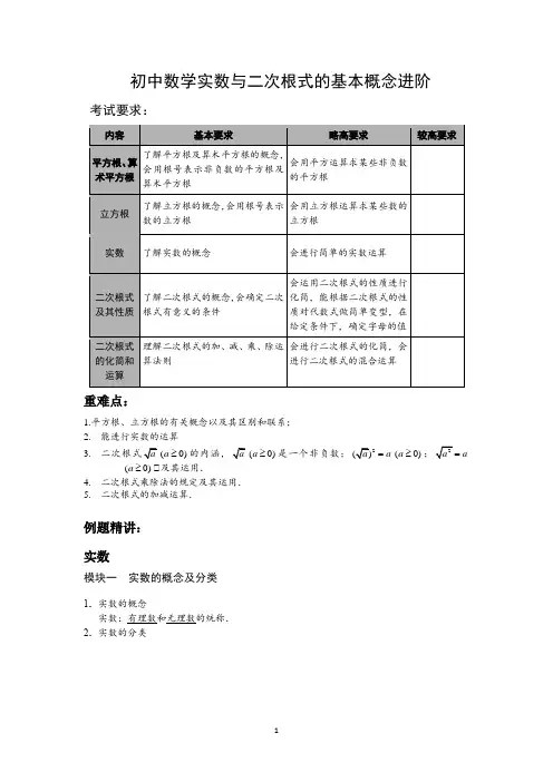 初中数学实数与二次根式的基本概念进阶(含解析)
