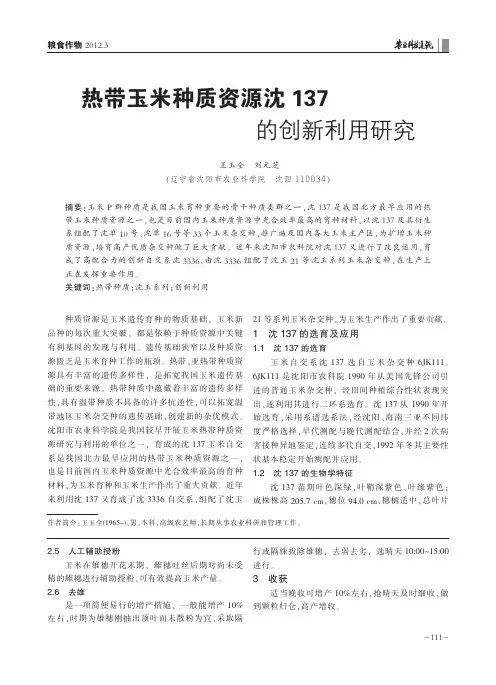 热带玉米种质资源沈137的创新利用研究