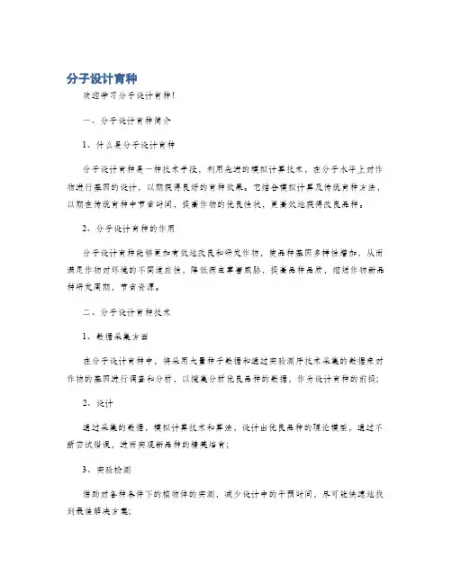 分子设计育种