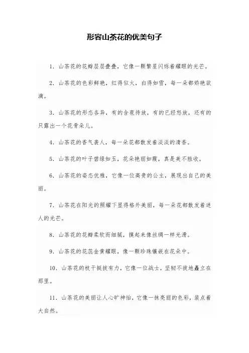 形容山茶花的优美句子