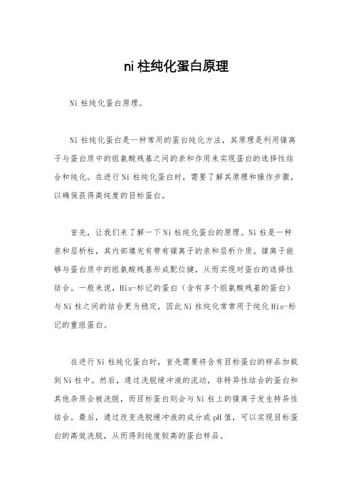 ni柱纯化蛋白原理