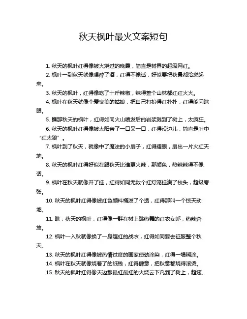 秋天枫叶最火文案短句