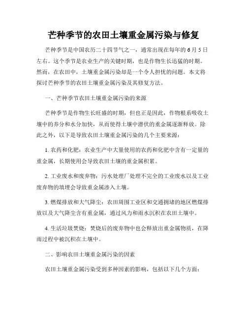 芒种季节的农田土壤重金属污染与修复