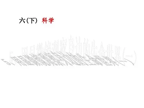 六年级下册科学课件-1.5 用显微镜观察身边的生命世界(一)｜教科版 (共10张PPT)