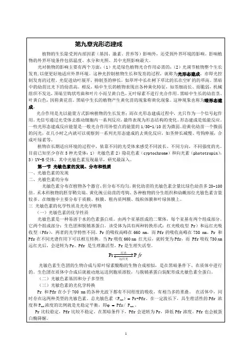 植物生理学课程教案