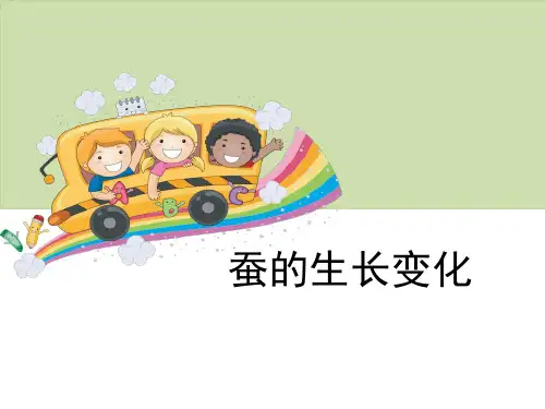 《蚕的生长变化》动物的生命周期PPT
