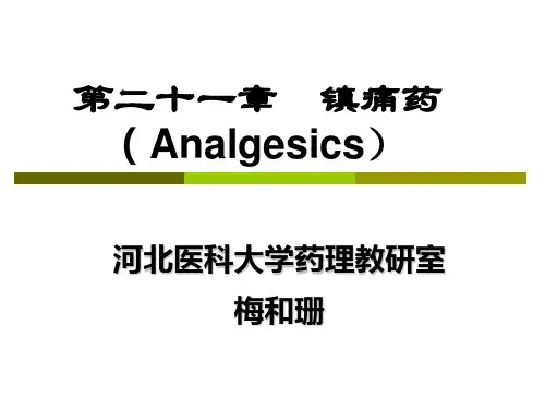 镇痛药