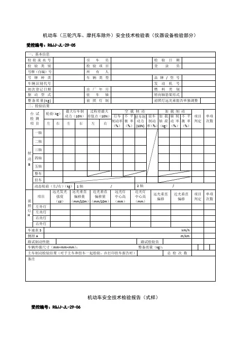 安检报告