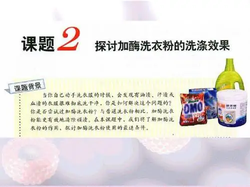 探讨加酶洗衣粉的洗涤效果 20120509