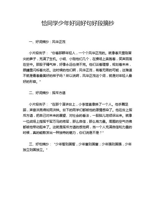 恰同学少年好词好句好段摘抄