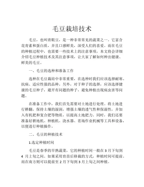 毛豆栽培技术