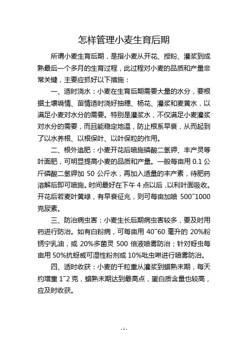 怎样管理小麦生育后期