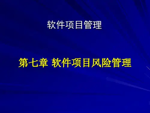 软件项目风险控制ppt课件