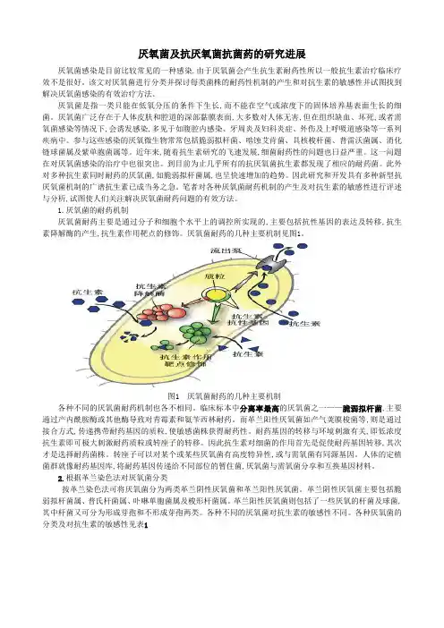 厌氧菌及抗厌氧菌抗菌药的研究进展