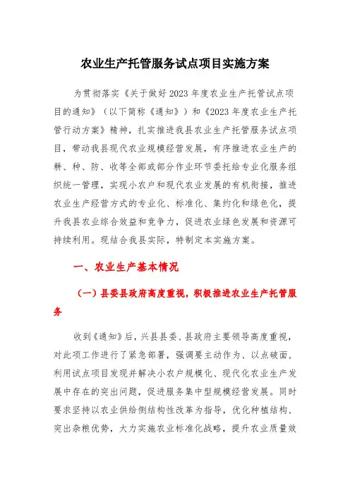 农业生产托管服务试点项目实施方案(一)