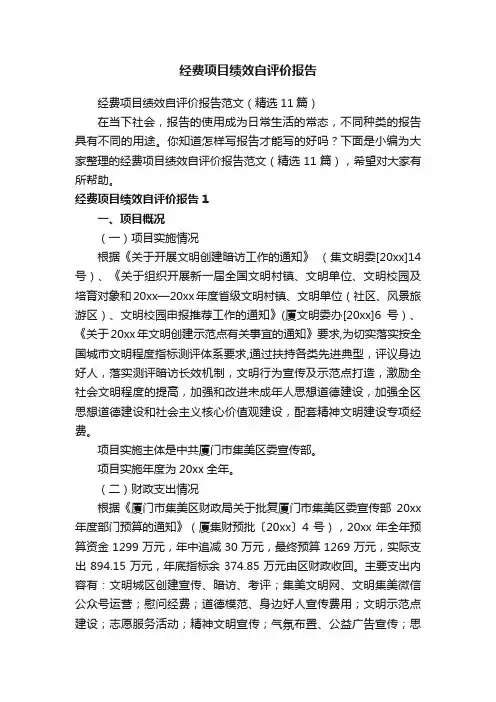 经费项目绩效自评价报告范文（精选11篇）