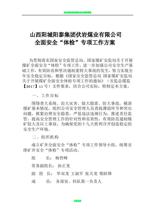 安全体检工作方案